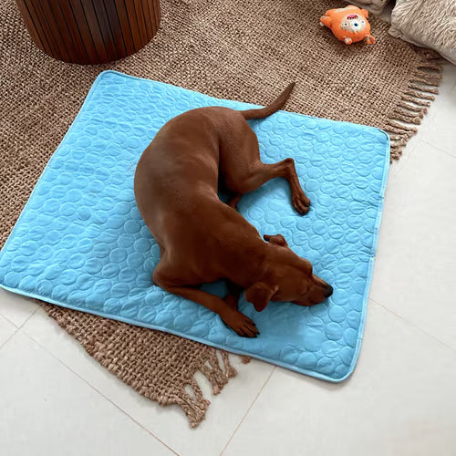 🐈‍⬛🐱Summer Hot Sale 49% OFF🧊Premium Cooling Mat For Pet🐶🐩