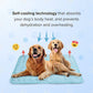 🐈‍⬛🐱Summer Hot Sale 49% OFF🧊Premium Cooling Mat For Pet🐶🐩
