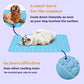 🐈‍⬛🐱Summer Hot Sale 49% OFF🧊Premium Cooling Mat For Pet🐶🐩