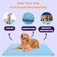 🐈‍⬛🐱Summer Hot Sale 49% OFF🧊Premium Cooling Mat For Pet🐶🐩